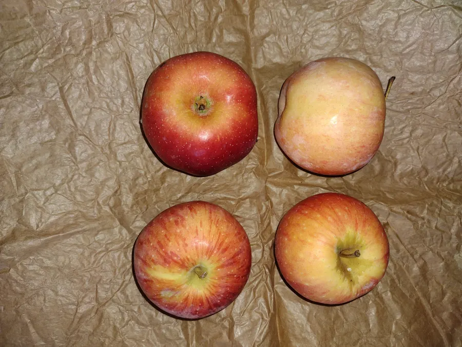 Florina-Äpfel – Sorte aus der Baumschule G.T. Cebotari
