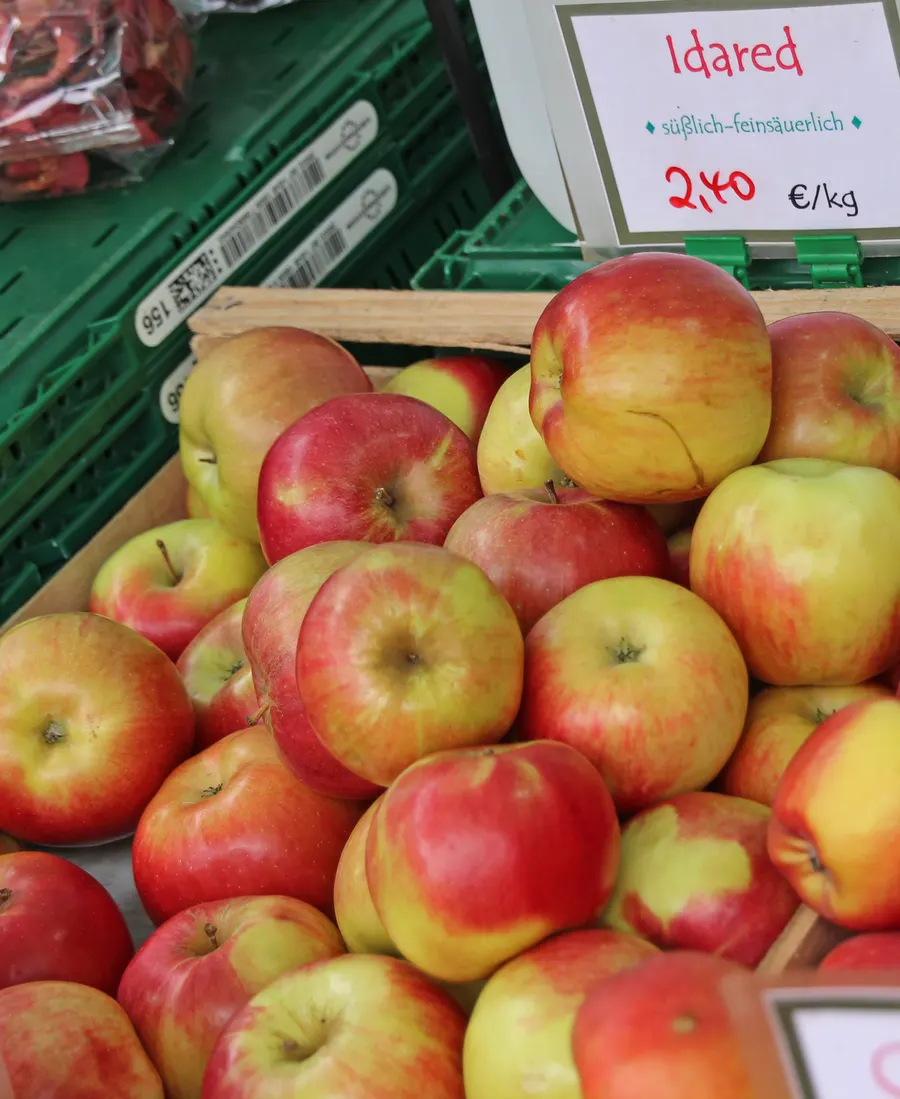 Idared apples – variety available at G.T. Cebotari nursery